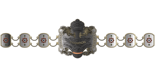 ZBCB-20 Custom Design Championship Belt - Zees Belts