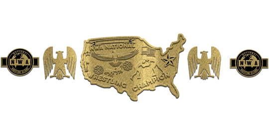 ZBCB-96 Custom Design Championship Belt - Zees Belts