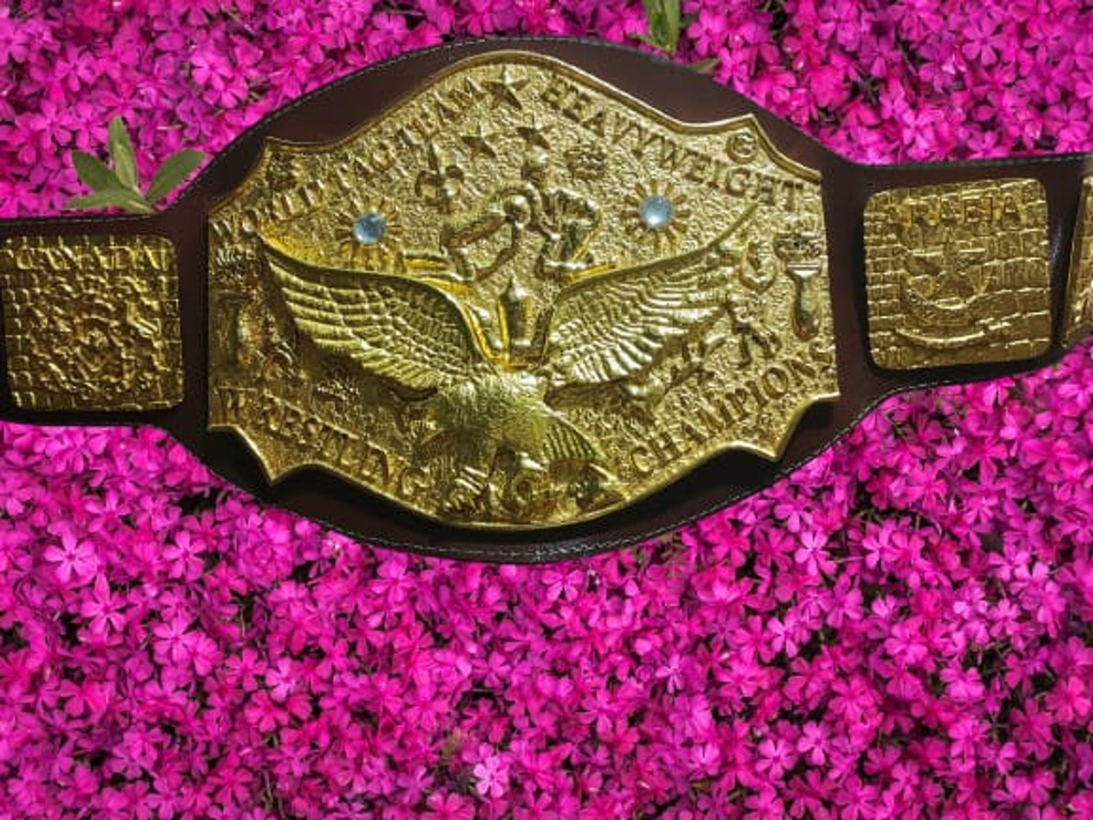 NWA World Tag Team Title Belt – Zinc Die-Cast