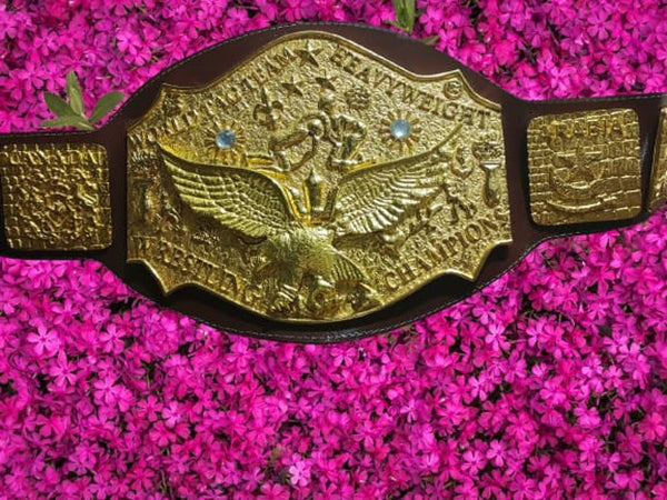 NWA World Tag Team Title Belt – Zinc Die-Cast
