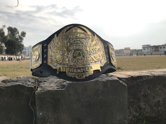 TNA Heavyweight Double Stacked Zinc Championship Belt - Zees Belts