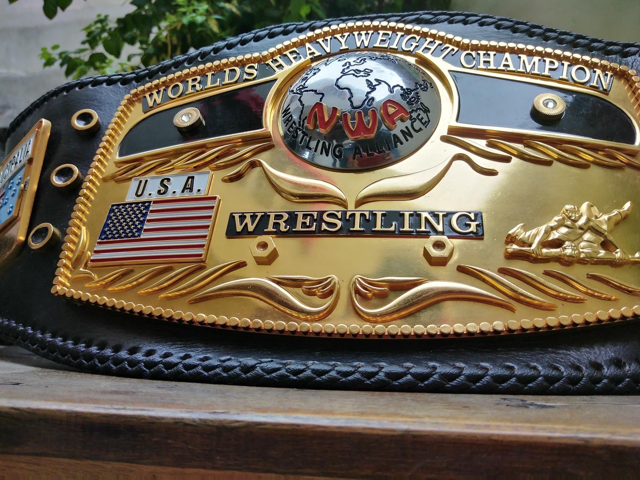 Maxan NWA Domed Globe Championship Belt 24k Gold Plating 4mm Zinc Adult  Size,Black