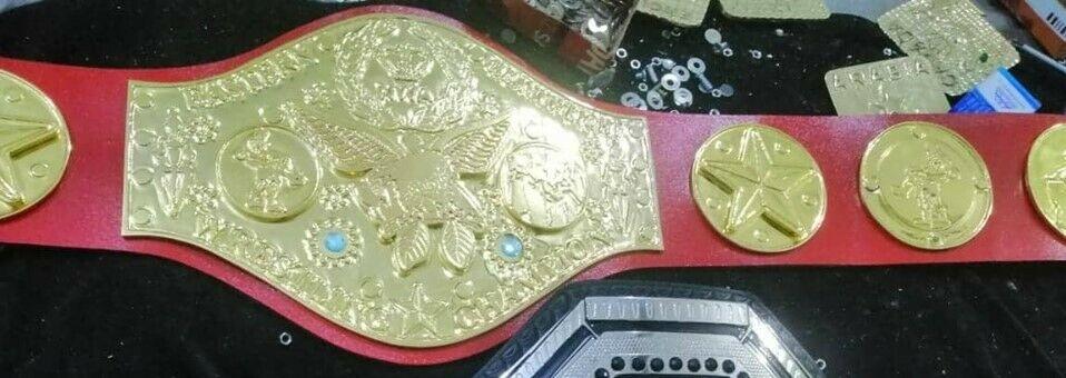 NWA EASTERN HEAVYWEIGHT Zinc Championship Belt - Zees Belts