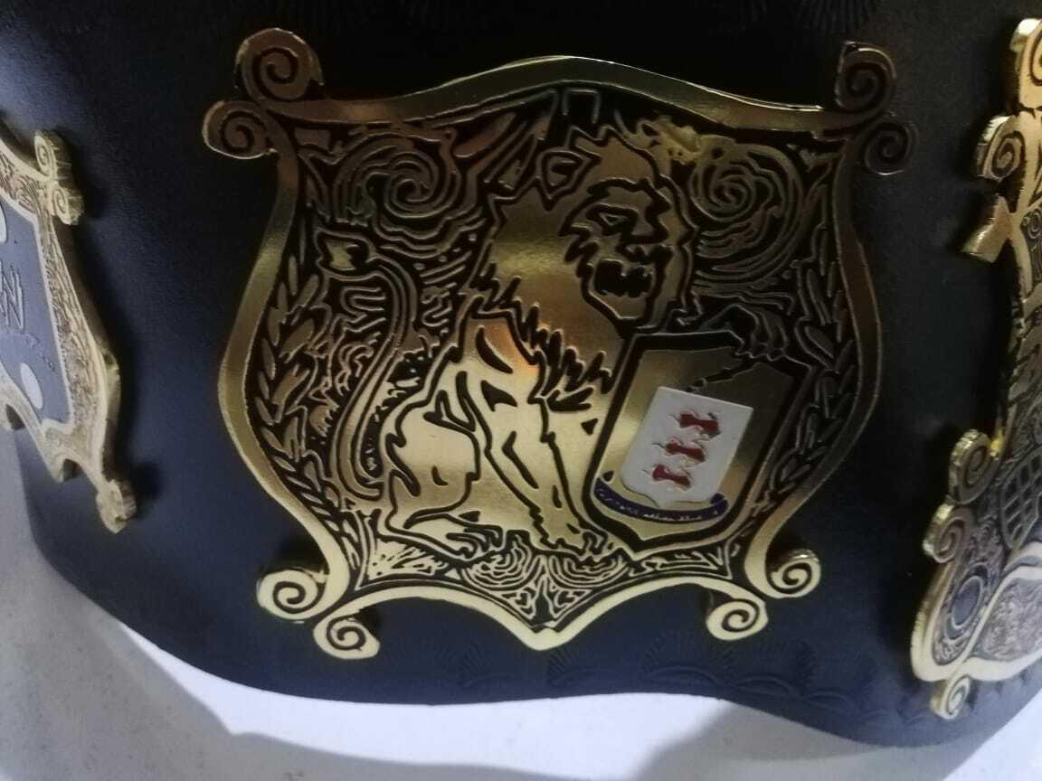 WWE UNDISPUTED Brass Championship Belt - Zees Belts